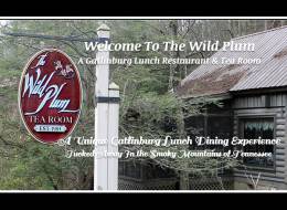 The Wild Plum Tea Room