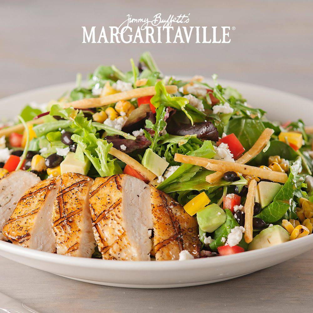 Margaritaville Pigeon