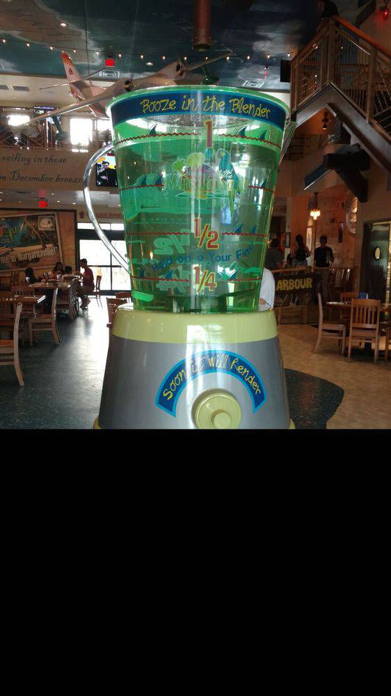 Margaritaville Pigeon